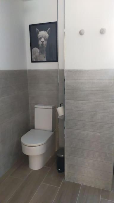 Apartamento Laurana Сантандер Екстериор снимка
